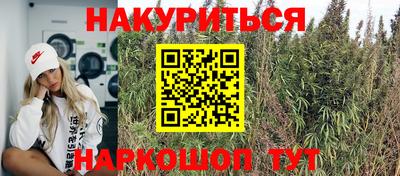 винт Владимир