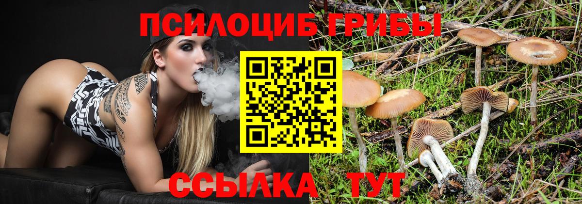 Галлюциногенные грибы Magic Shrooms Артёмовский